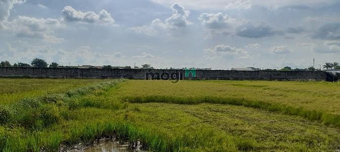 Hình ảnh Đất Đẹp Chủ Cần Bán Gấp Giá Cực Rẻ Xuân Thới Sơn Hóc Môn