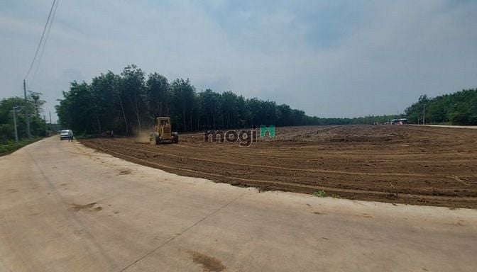 Hình ảnh Bán Gấp Lô Đất Sào 1011m2 Tại Chơn Thành Bình Phước Ai Có Nhu Cầu LH