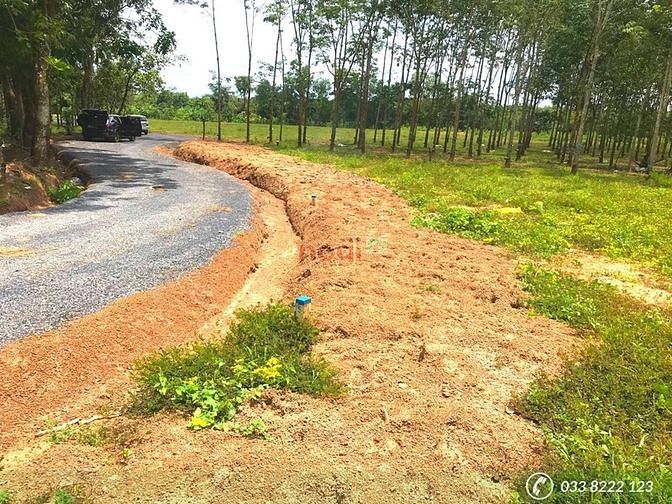 Hình ảnh Cần Bán đất Bình Phước 500tr sổ sẵn 1100m2