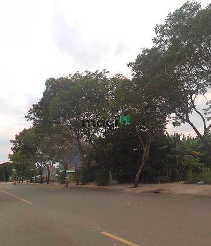 Hình ảnh Cần bán lô đất KDC Bình Hoà MT Đặng Thuỳ Trâm, Bình Thạnh, 80m2, 2tỷ4
