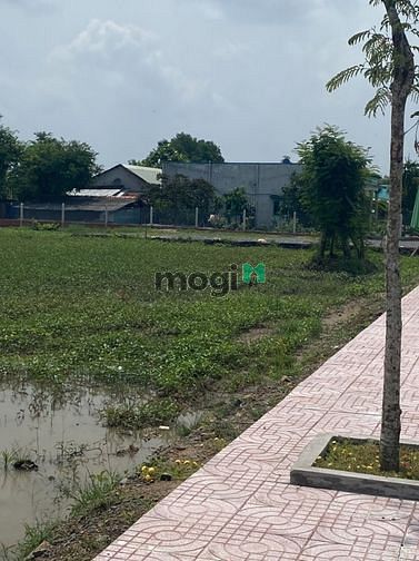 Hình ảnh Lô đất đẹp 200m2 tại Nguyễn Văn Bứa, SHR