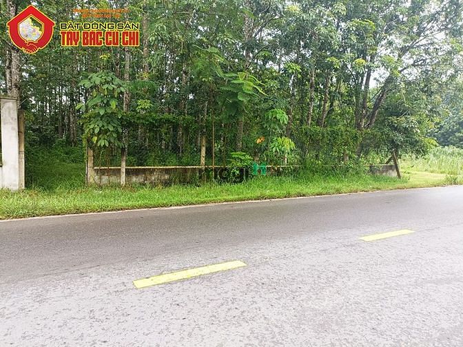 Hình ảnh Đất đường Tỉnh Lộ 15 - 829m2 - 14.5x55 - 300m2 thổ cư - xã An Phú