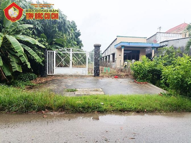 Hình ảnh Đất đường Hố Bò - 1881m2 - 8x152 nở hậu 16m - 300m2 thổ cư - Củ Chi