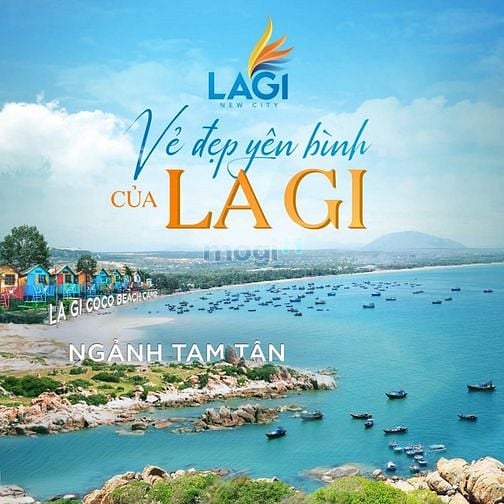 Hình ảnh Bán 1 Sào đất Tân Phước Lagi Bình Thuận, Giá rẻ bất ngờ.