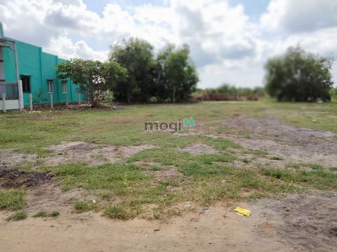 Hình ảnh Bán 1 Sào đất Tân Phước Lagi Bình Thuận, Giá rẻ bất ngờ.