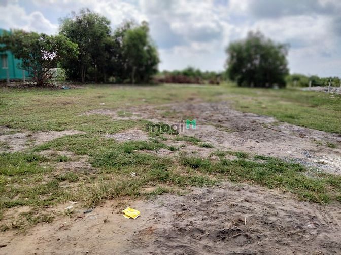 Hình ảnh Bán 1 Sào đất Tân Phước Lagi Bình Thuận, Giá rẻ bất ngờ.