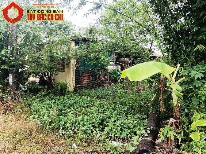 Hình ảnh Bán đất 1/ Tỉnh Lộ 7 - 274m2 - 6x46 - 200m2 thổ cư - xã Trung Lập Hạ