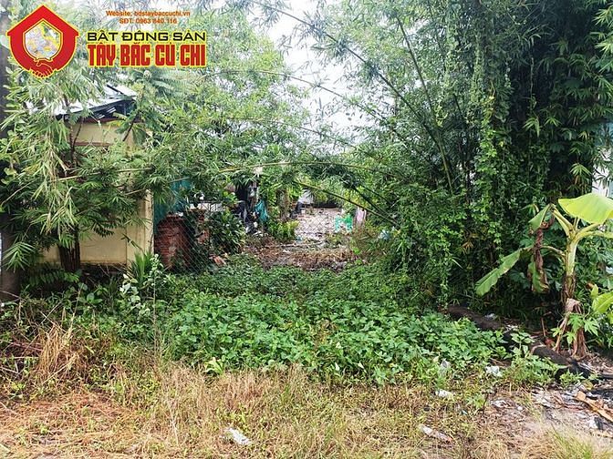 Hình ảnh Bán đất 1/ Tỉnh Lộ 7 - 274m2 - 6x46 - 200m2 thổ cư - xã Trung Lập Hạ