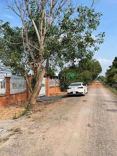 Hình ảnh Chủ kẹt tiền ra gấp lô đất cặp liền kề 800m2, sổ sẵn Củ Chi chỉ 3 tỷ