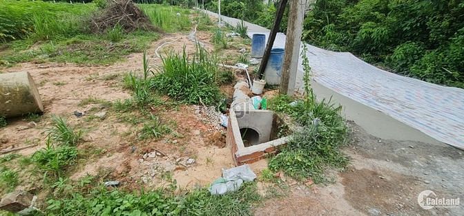Hình ảnh Cần Bán Đất Tây Ninh Sổ Sẵn - Ký Công Chứng