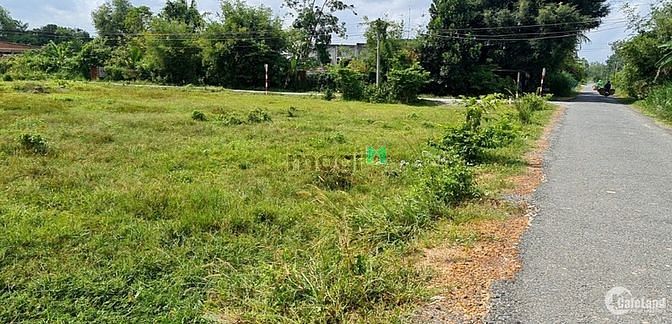 Hình ảnh Cần Bán Đất Tây Ninh Sổ Sẵn - Ký Công Chứng