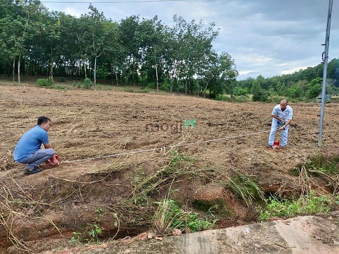 Hình ảnh Bán Đất Nền Huyện Đồng Phú-Bình Phước Sổ Đỏ Sắn DT: 230m², Gần KCN
