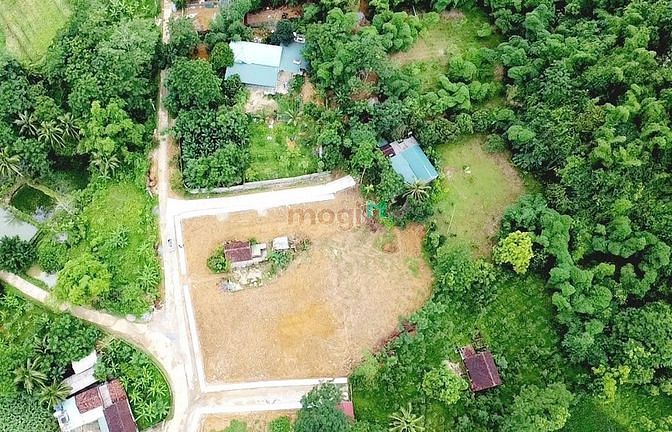 Hình ảnh Đất Thạch Thành chưa bao giờ hết hot