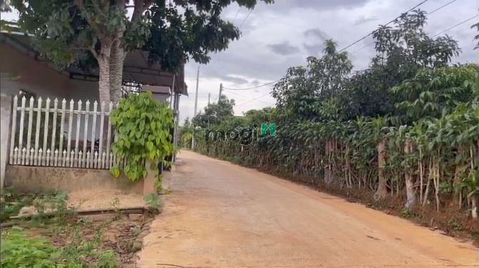 Hình ảnh Đất nền Bảo Lộc Cách Ql 20 50m