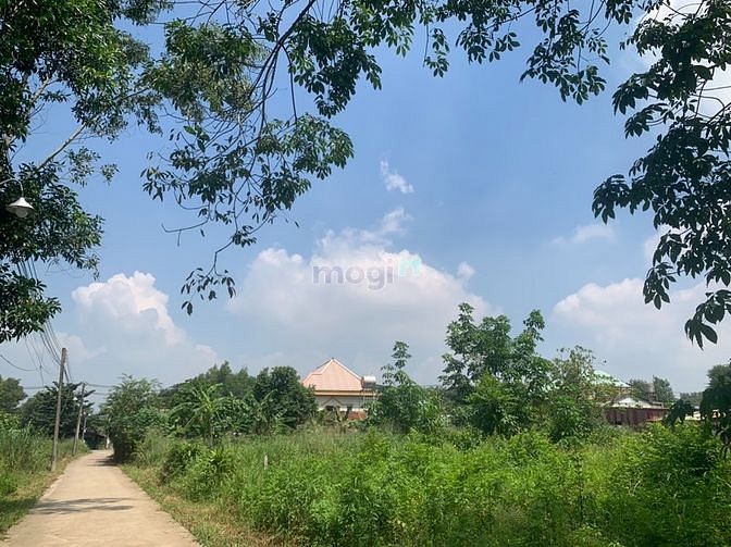Hình ảnh Đất nền full hồng, tại xã đồi 61 giá chỉ 5XX