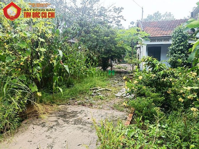 Hình ảnh Đất đường Nguyễn Văn Tiệp - 412m2 - 9x38 - 130m2 thổ cư - xã An Phú