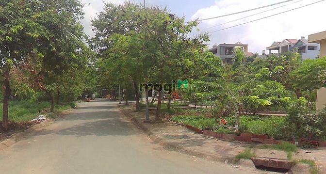 Hình ảnh Thanh lý gấp đất thổ vườn ngay MT vành đai 4, SHR, đã lên thổ cư, 6ty2