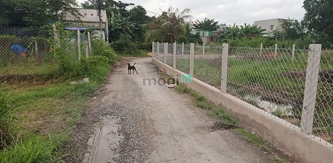 Hình ảnh Bán lô đất thổ 191.6m2 kề bên trường Tiểu học Bình Mỹ, Củ Chi. GIÁ 3 t