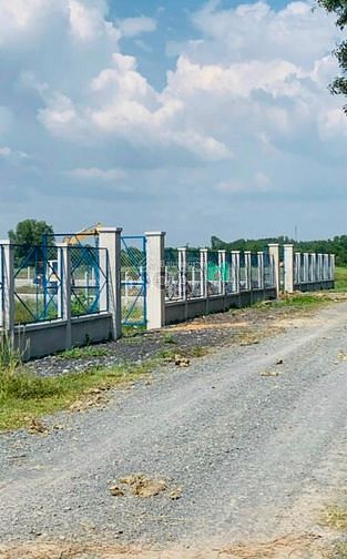 Hình ảnh Bán đất thổ vườn 500m2 MT đường Số 9, Tân Thông Hội, Củ Chi,500m2,1tỷ2