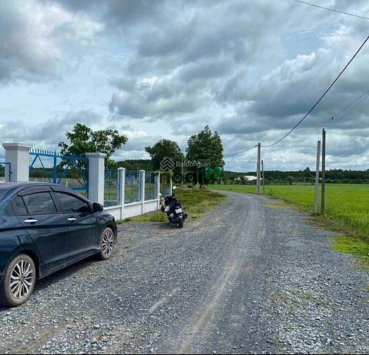 Hình ảnh Bán đất thổ vườn 500m2 MT đường Số 9, Tân Thông Hội, Củ Chi,500m2,1tỷ2