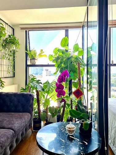 Hình ảnh cho thuê Trang Chủ MB66.COM / Đăng Ký Tặng 66K Studio The Sun Avenue bao phí