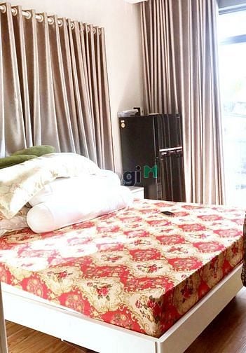 Hình ảnh 40m2 - Bán nhà hẻm xe hơi Cách Mạng Tháng Tám, Tân Bình - KD sầm uất