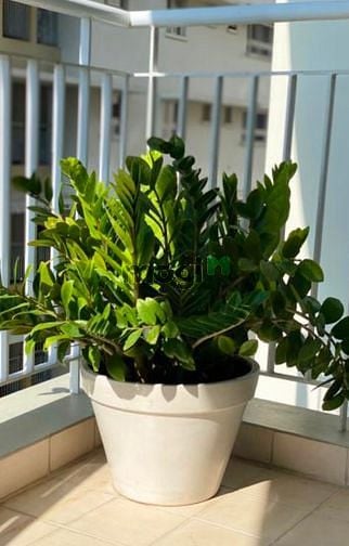 Hình ảnh BÁN NGAY CH An Phú Apartment Q6 94m2 T17 2tỷ875