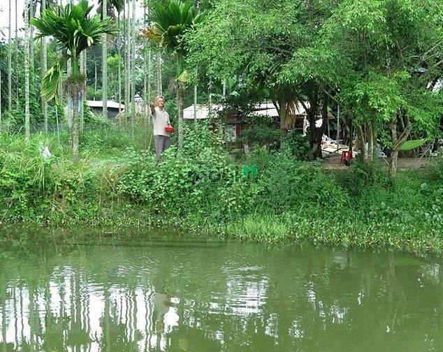 Hình ảnh Đất dân ở cách sân bay Long Thành 4km, DT 1067m2, Chỉ 2.69 tỷ