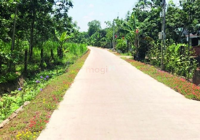 Hình ảnh Đất dân ở cách sân bay Long Thành 4km, DT 1067m2, Chỉ 2.69 tỷ