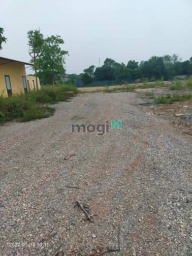 Hình ảnh Bán đất nhà xưởng - chương mỹ - hà nội - 4000m đường to rộng xe công