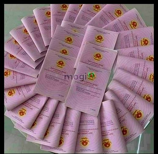 Hình ảnh Nền ở Đồng Nơ, Chơn Thành, Hớn Quản