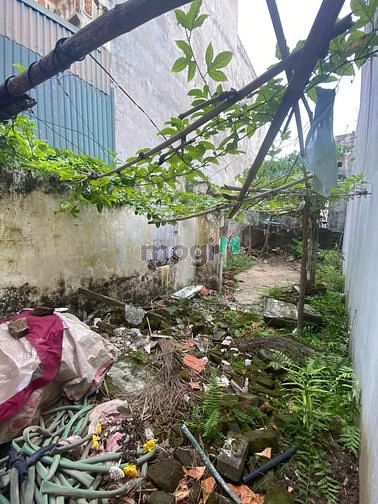 Hình ảnh Liên mạc đất đẹp 47m2 ô tô đỗ rộng 4.4m nhỉnh 2 tỷ