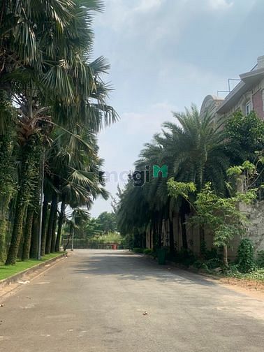 Hình ảnh Đất cạnh Rivermark ven sông Sài Gòn 13x29 công nhận 382m2. Giá 145tr/m
