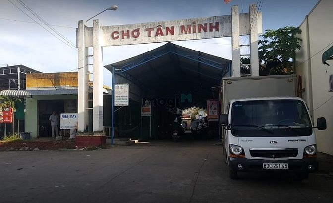 Hình ảnh 👉 Bán 1336M đất thổ cư thị trấn Tân Minh Hàm Tân giá rẻ bất ngờ