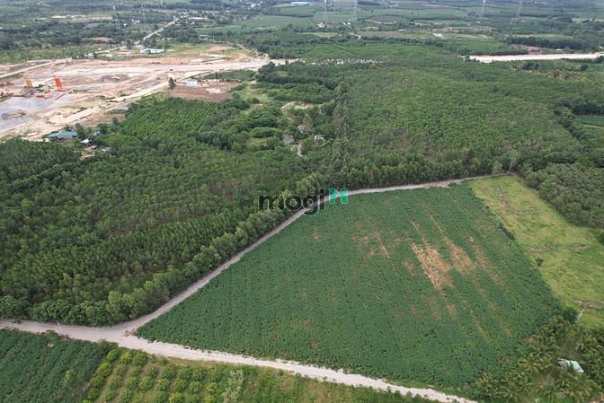 Hình ảnh 👉 Bán 2Ha đất Cao Tốc Tân Phúc Hàm Tân giá rẻ bất ngờ