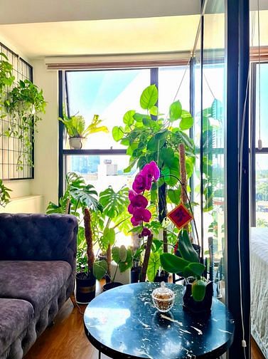 Hình ảnh Căn studio đẹp nhất với nội thất xịn