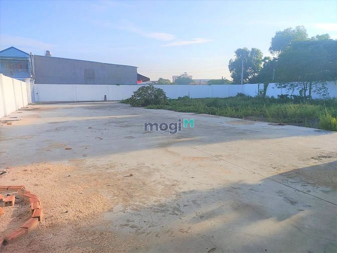 Hình ảnh Đất Lớn Gần 1.500m2 Vuông Vắn Thới Tam Thôn Hóc Môn