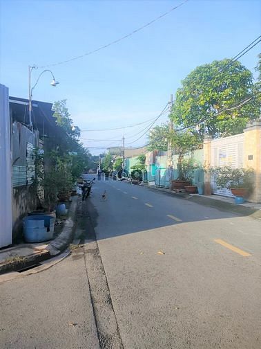 Hình ảnh Đất Lớn Gần 1.500m2 Vuông Vắn Thới Tam Thôn Hóc Môn