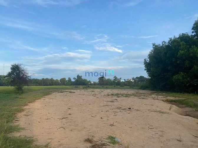 Hình ảnh đất 1300m2 khu dân cư cách quốc lộ 55 chỉ 100 m giá 2 tỷ 5