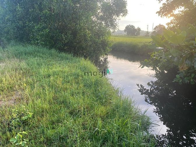 Hình ảnh đất 1300m2 khu dân cư cách quốc lộ 55 chỉ 100 m giá 2 tỷ 5