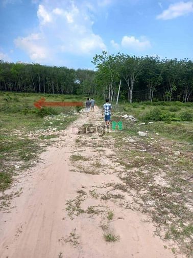 Hình ảnh Bán lô đất thị trấn Dầu Tiếng. DT 10×59 nở hậu 12m. Giá 879tr.shr
