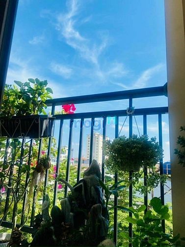 Hình ảnh Cho thuê chung cư cityland 86m,2pn,2wc full nội thất