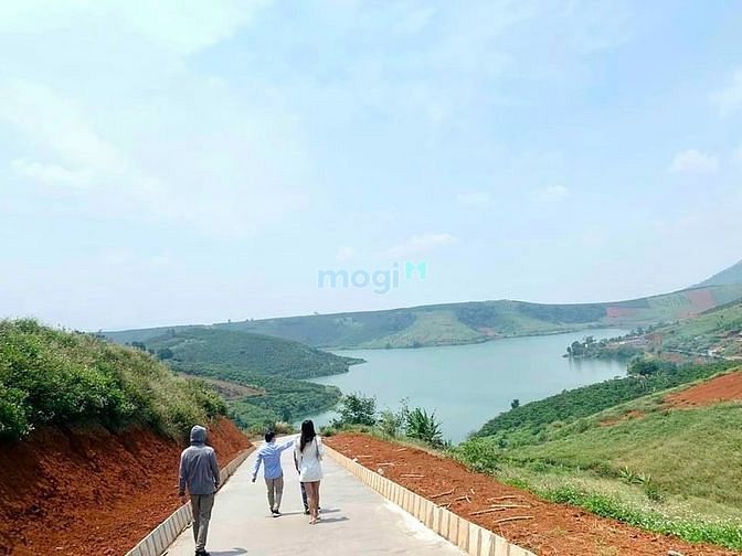 Hình ảnh Đất Nghỉ Dưỡng Bảo Lộc view Hồ Lớn Cực Chill, Sổ Sẵn