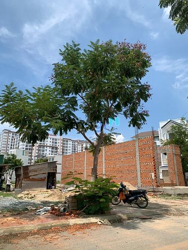 Hình ảnh Chính chủ cần bán nhanh lô biệt thự đẹp nhất khu K1