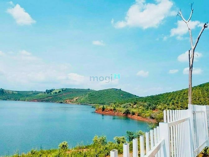 Hình ảnh Đất Nghỉ Dưỡng Bảo Lộc view Hồ Lớn Cực Chill, Sổ Sẵn