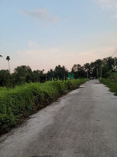 Hình ảnh Cần bán 5300m2 full thổ cư  ngay mặt tiền Bình Mỹ, xã Bình Mỹ