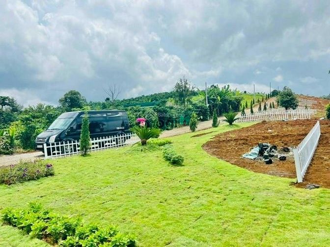 Hình ảnh Đây chắc hẳn là điều bạn đang cần tìm!