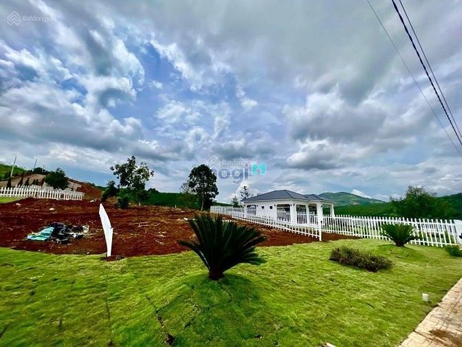 Hình ảnh Đây chắc hẳn là điều bạn đang cần tìm!