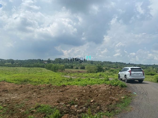 Hình ảnh Đất ở có thổ cư 3190m2, Chỉ 7.3 tỷ, Cách sân bay Long Thành 5km