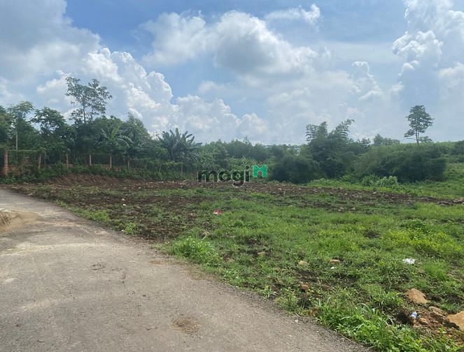 Hình ảnh Đất ở có thổ cư 3190m2, Chỉ 7.3 tỷ, Cách sân bay Long Thành 5km